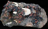 Red Vanadinite Crystals on Manganese Oxide - Morocco #38520-4